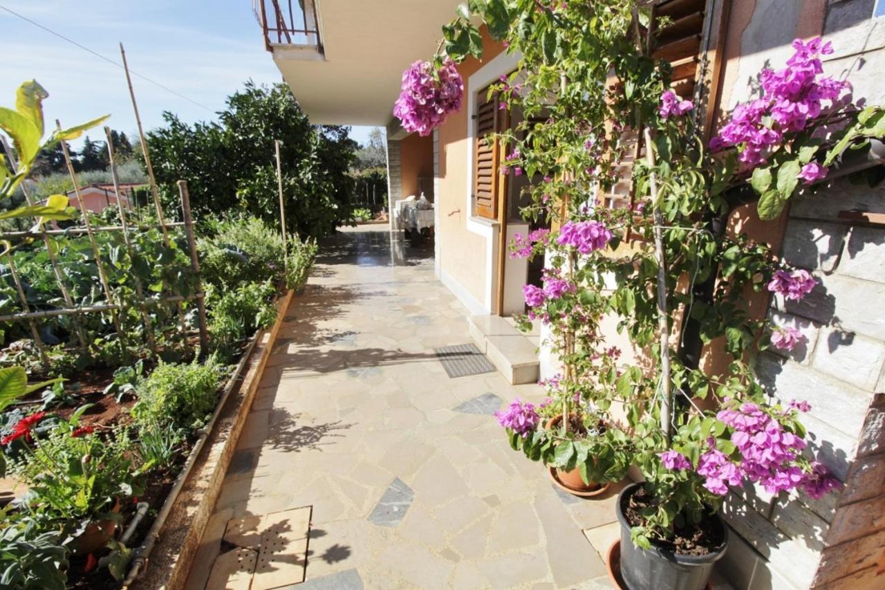 Apartments Marija Savudrija Extérieur photo